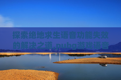 探索绝地求生语音功能失效的解决之道,pubg游戏语音用不了