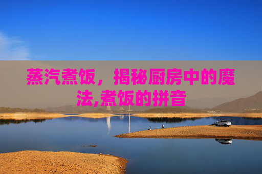 蒸汽煮饭，揭秘厨房中的魔法,煮饭的拼音