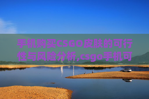 手机购买CSGO皮肤的可行性与风险分析,csgo手机可以买皮肤吗知乎