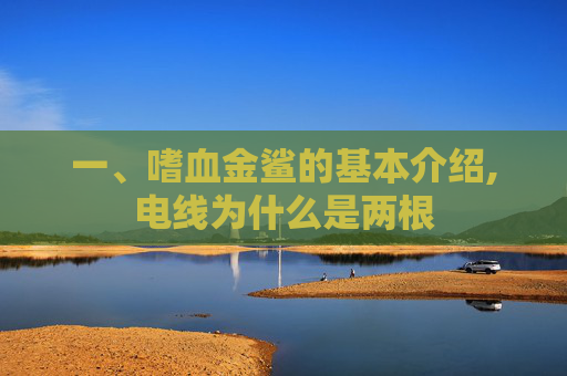 一、嗜血金鲨的基本介绍,电线为什么是两根