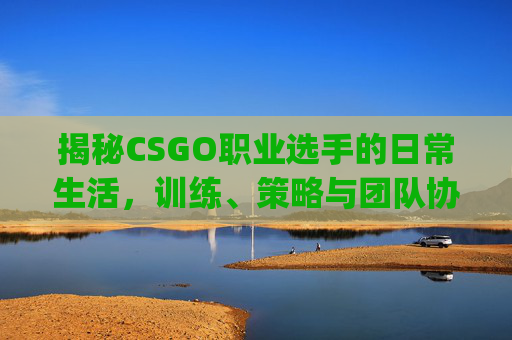 揭秘CSGO职业选手的日常生活，训练、策略与团队协作,csgo职业一览表