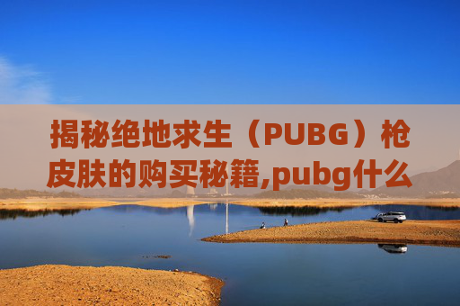 揭秘绝地求生（PUBG）枪皮肤的购买秘籍,pubg什么枪皮肤最贵