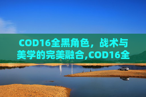 COD16全黑角色，战术与美学的完美融合,COD16全角色解锁指南