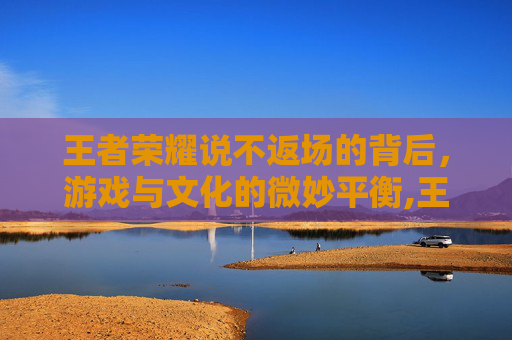 王者荣耀说不返场的背后，游戏与文化的微妙平衡,王者荣耀说不返场的英雄