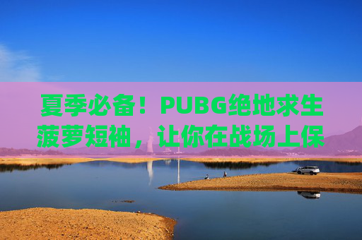 夏季必备！PUBG绝地求生菠萝短袖，让你在战场上保持凉爽,pubg大菠萝皮肤