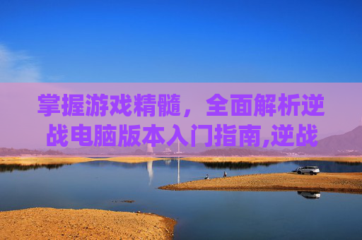 掌握游戏精髓，全面解析逆战电脑版本入门指南,逆战怎么进入电脑版本系统