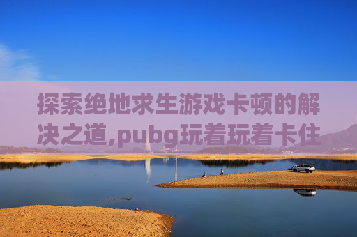 探索绝地求生游戏卡顿的解决之道,pubg玩着玩着卡住了