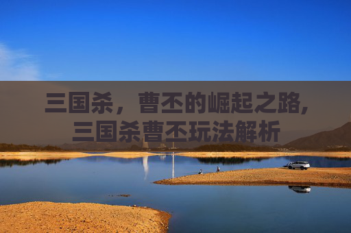 三国杀，曹丕的崛起之路,三国杀曹丕玩法解析