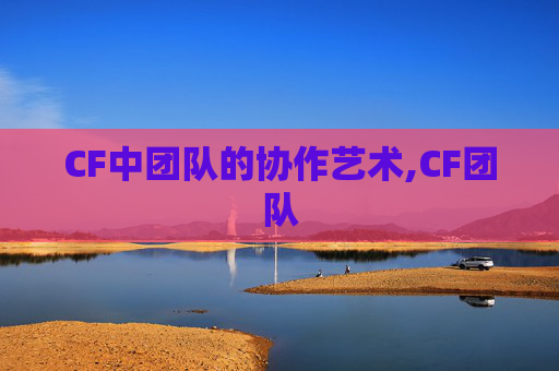 CF中团队的协作艺术,CF团队