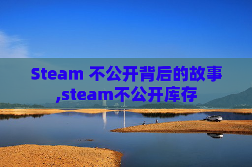 Steam 不公开背后的故事,steam不公开库存