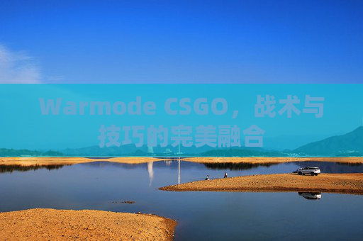 Warmode CSGO，战术与技巧的完美融合