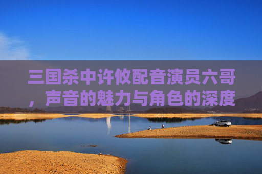 三国杀中许攸配音演员六哥，声音的魅力与角色的深度,三国杀许攸配音演员六哥是谁