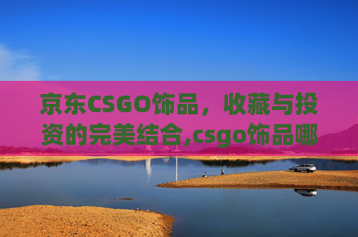 京东CSGO饰品，收藏与投资的完美结合,csgo饰品哪里卖比较好