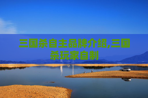 三国杀自主品牌介绍,三国杀玩家自制