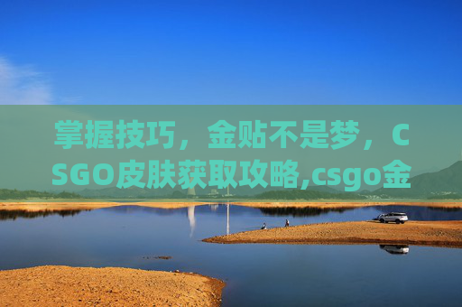 掌握技巧，金贴不是梦，CSGO皮肤获取攻略,csgo金贴纸多少钱-第1张图片-游戏守望资讯网