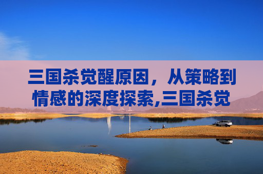 三国杀觉醒原因，从策略到情感的深度探索,三国杀觉醒技触发条件-第1张图片-游戏守望资讯网