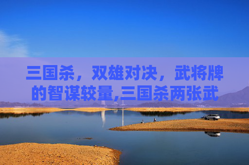 三国杀,双雄对决,武将牌的智谋较量,三国杀两张武将玩法-第1张图片-游戏守望资讯网 三国杀,双雄对决,武将牌的智谋较量,三国杀两张武将玩法-第1张图片-游戏守望资讯网