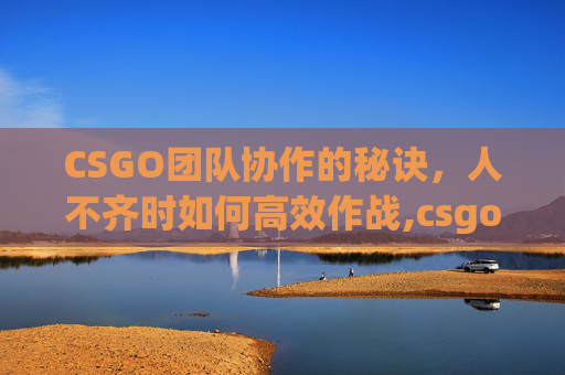 CSGO团队协作的秘诀，人不齐时如何高效作战,csgo人物-第1张图片-游戏守望资讯网