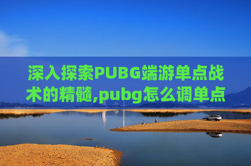 深入探索PUBG端游单点战术的精髓,pubg怎么调单点