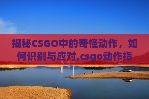 揭秘CSGO中的奇怪动作，如何识别与应对,csgo动作指令大全