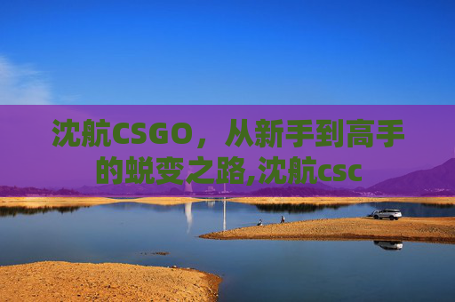 沈航CSGO,从新手到高手的蜕变之路,沈航csc-第1张图片-游戏守望资讯网 沈航CSGO,从新手到高手的蜕变之路,沈航csc-第1张图片-游戏守望资讯网