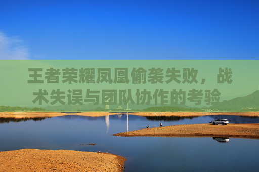 王者荣耀凤凰偷袭失败，战术失误与团队协作的考验,王者荣耀 凤凰技能的皮肤