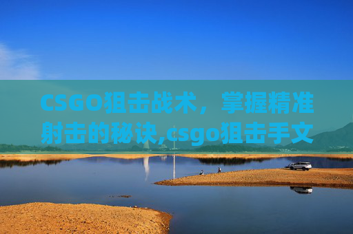 CSGO狙击战术，掌握精准射击的秘诀,csgo狙击手文案