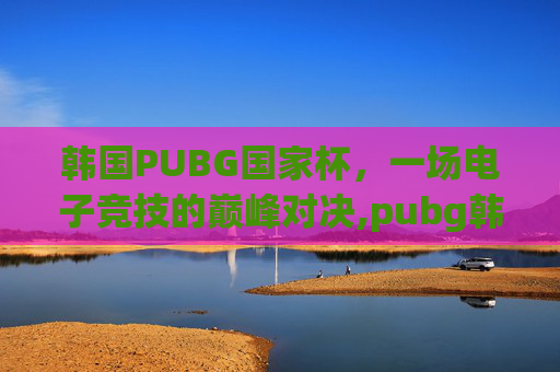 韩国PUBG国家杯，一场电子竞技的巅峰对决,pubg韩国比赛直播