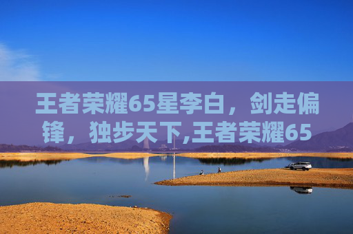 王者荣耀65星李白，剑走偏锋，独步天下,王者荣耀65星李白多少钱