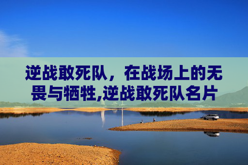逆战敢死队，在战场上的无畏与牺牲,逆战敢死队名片