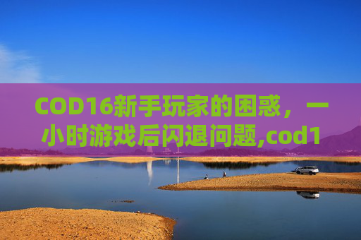 COD16新手玩家的困惑，一小时游戏后闪退问题,cod16玩一会儿就闪退-第1张图片-游戏守望资讯网