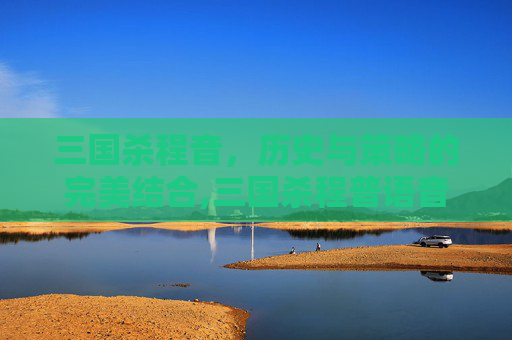 三国杀程音，历史与策略的完美结合,三国杀程普语音