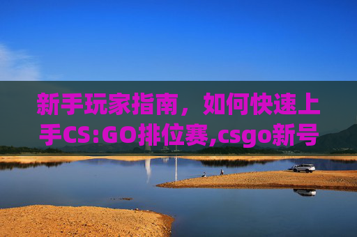 新手玩家指南，如何快速上手CS:GO排位赛,csgo新号怎么才能打官匹