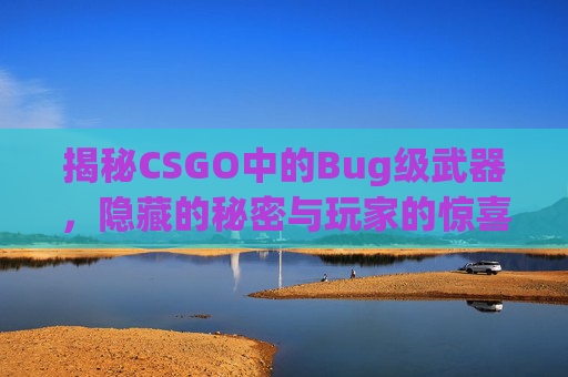揭秘CSGO中的Bug级武器，隐藏的秘密与玩家的惊喜,csgo武器级别顺序-第1张图片-游戏守望资讯网