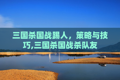 三国杀国战踢人，策略与技巧,三国杀国战杀队友