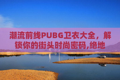 潮流前线PUBG卫衣大全，解锁你的街头时尚密码,绝地求生卫衣大全