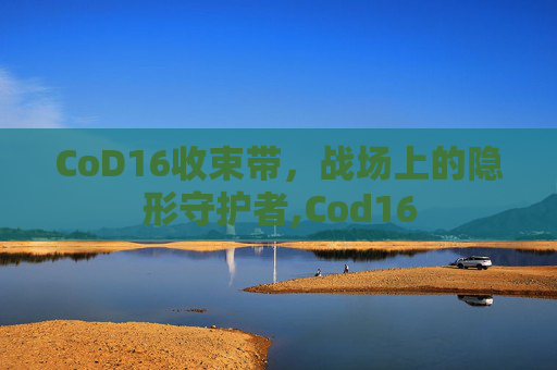 CoD16收束带，战场上的隐形守护者,Cod16-第1张图片-游戏守望资讯网
