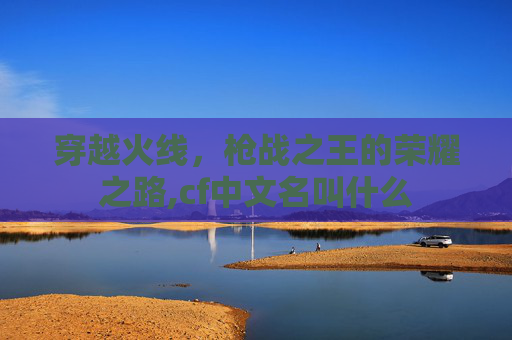 穿越火线，枪战之王的荣耀之路,cf中文名叫什么