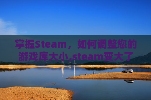 掌握Steam，如何调整您的游戏库大小,steam变大了怎么变回去