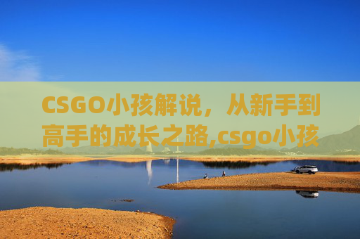 CSGO小孩解说，从新手到高手的成长之路,csgo小孩是哪个选手