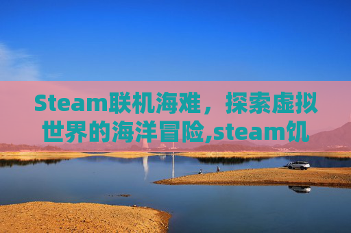 Steam联机海难，探索虚拟世界的海洋冒险,steam饥荒海难怎么联机