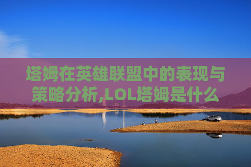 塔姆在英雄联盟中的表现与策略分析,LOL塔姆是什么位置