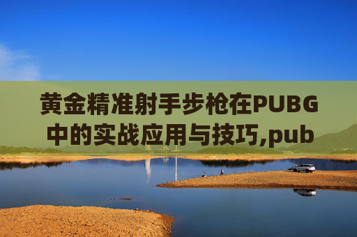 黄金精准射手步枪在PUBG中的实战应用与技巧,pubg精准射手步枪排名