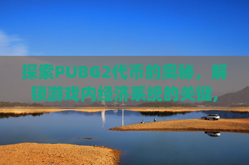 探索PUBG2代币的奥秘，解锁游戏内经济系统的关键,pubg2023代币有什么用