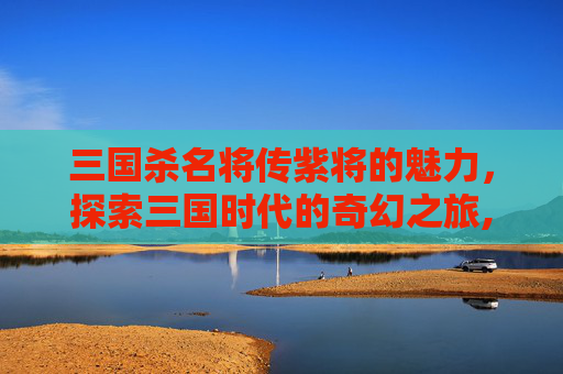 三国杀名将传紫将的魅力，探索三国时代的奇幻之旅,三国杀名将传紫将好玩吗值得买吗