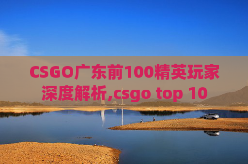 CSGO广东前100精英玩家深度解析,csgo top 10