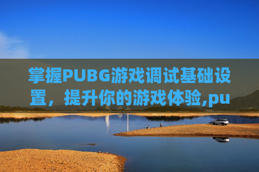 掌握PUBG游戏调试基础设置，提升你的游戏体验,pubg控制设置最佳参数