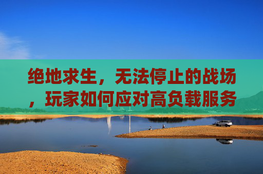 绝地求生，无法停止的战场，玩家如何应对高负载服务器,pubg正在运行无反应