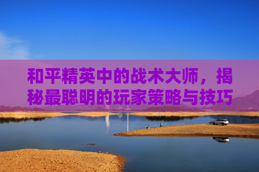 和平精英中的战术大师，揭秘最聪明的玩家策略与技巧,和平精英中最聪明的玩家图片