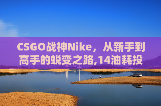 CSGO战神Nike，从新手到高手的蜕变之路,14油耗投多少钱一公里